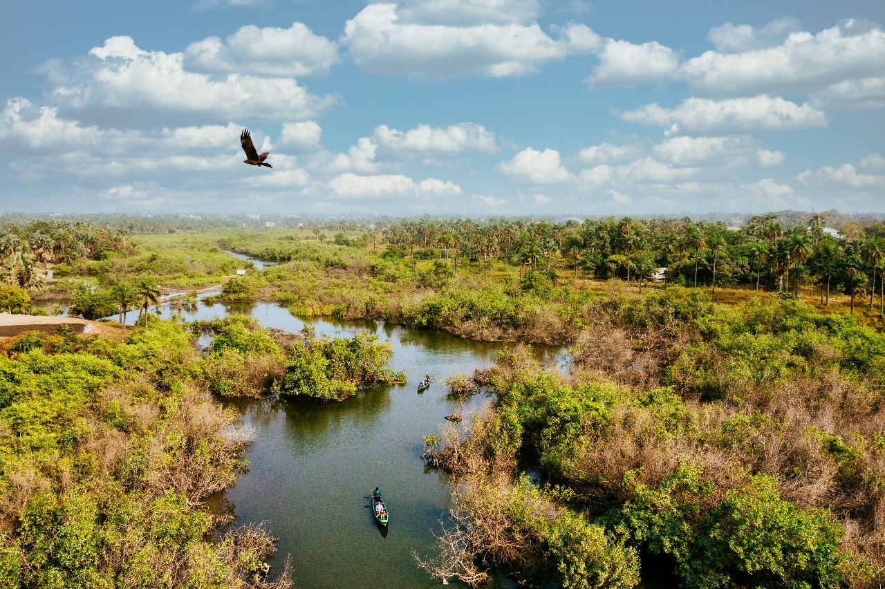 Memperingati Hari Lahan Basah Sedunia 2024: Wetlands and Human Wellbeing